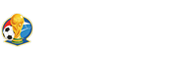 世界杯半决赛直播